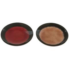 Mid-Century Enamel and Silver Plate Towle Silversmiths Tazza Pair