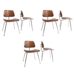 Set of Six Early Charles Eames, Evans Labeled Molded Plywood Dining Chairs 12