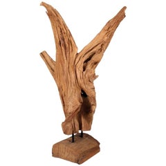 Wild Asian Teak Tree Root Sculpture 2