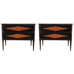 Pair of Decorative Neoclassical Black Lacquered Chests