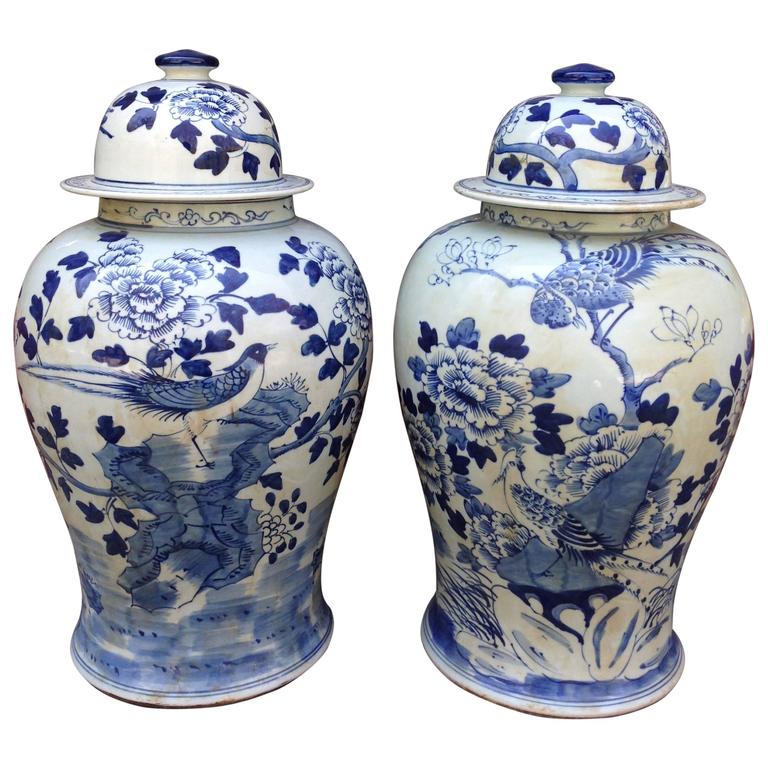 Large Pair of Chinese Blue and White Temple Jars For Sale at 1stdibs