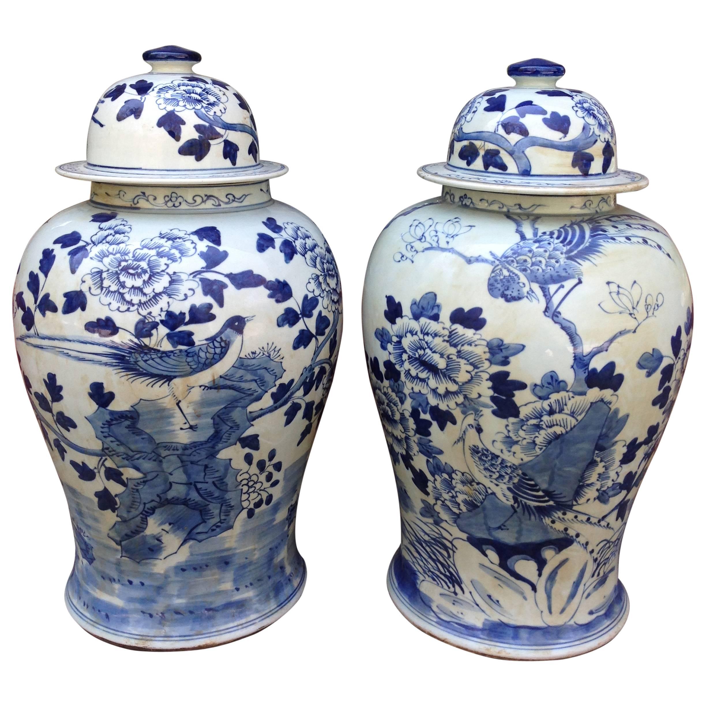 Large Pair of Chinese Blue and White Temple Jars