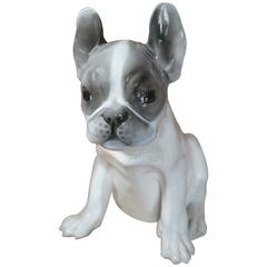 Antique Rosenthal Porcelain Bulldog Puppy, circa 1920