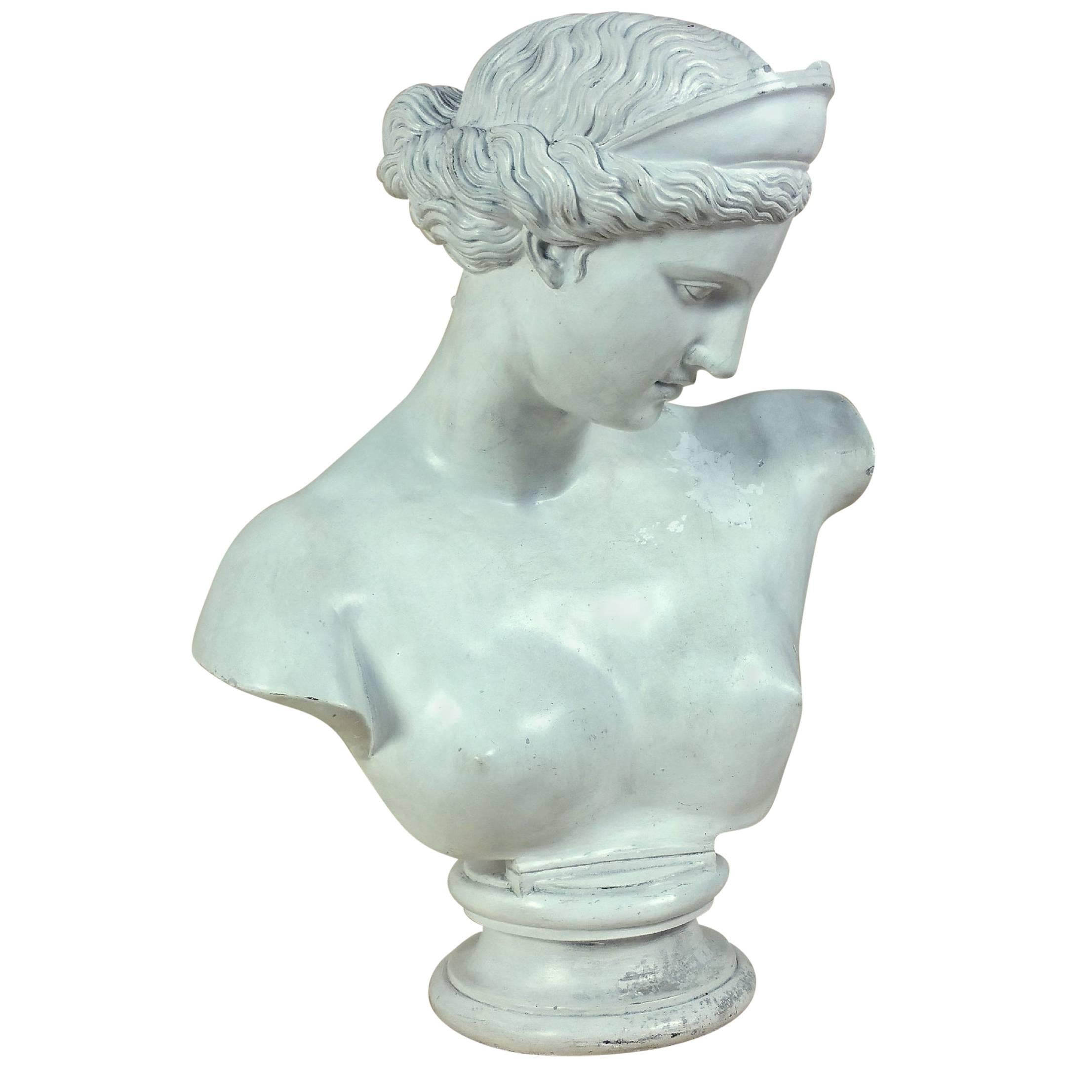 Large 19th Century Plaster Bust of Venus after the Antique