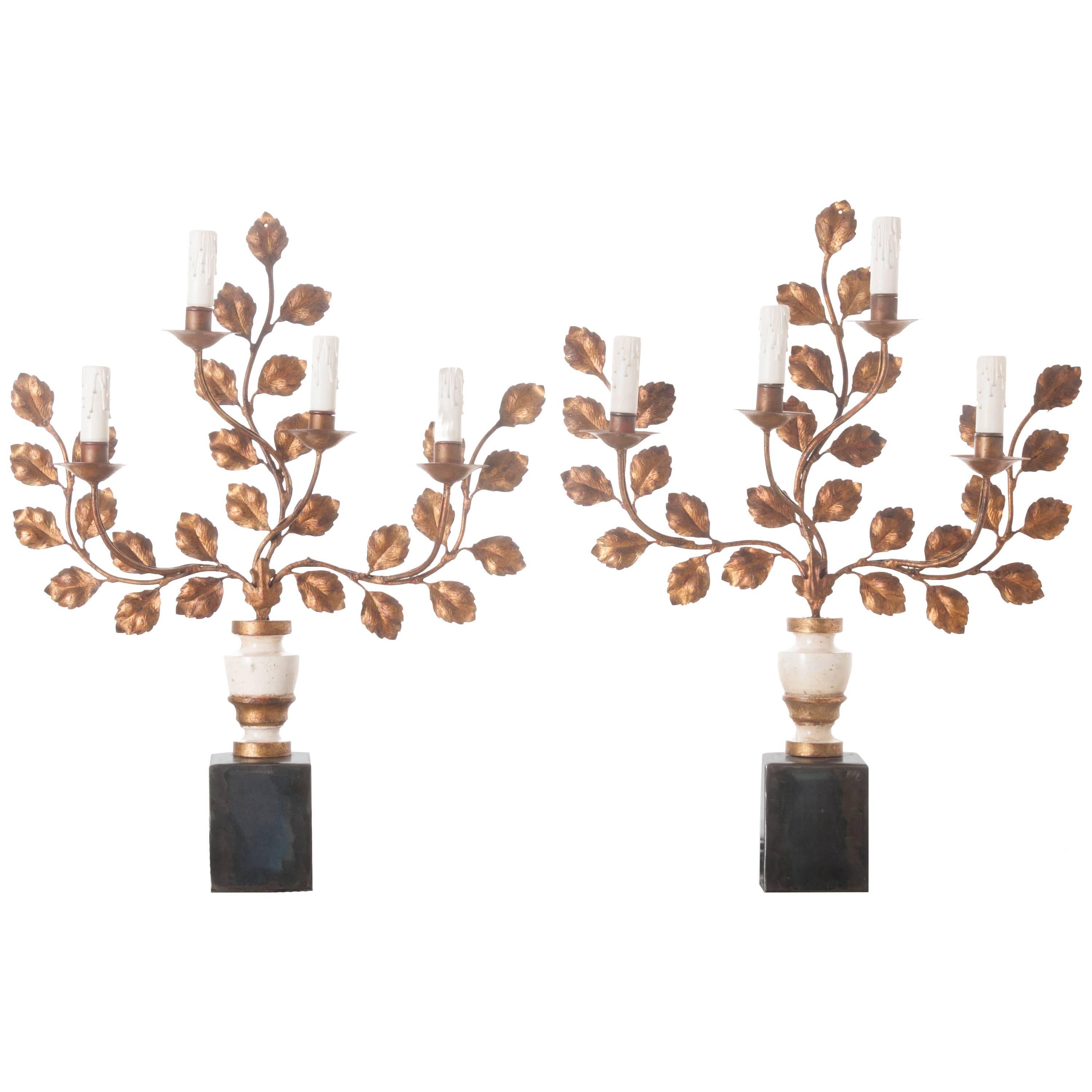 Pair of 19th Century Foliate Sconce Lamps