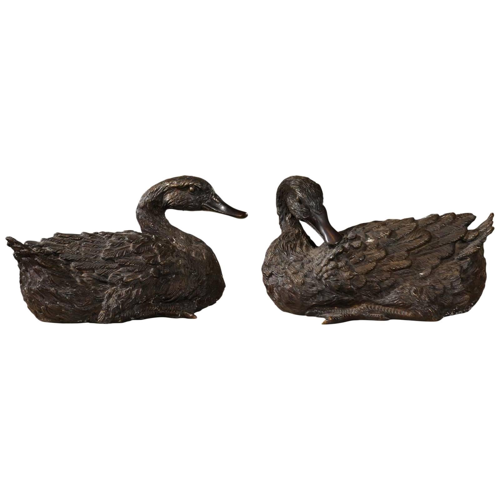 Pair of Bronze Ducks