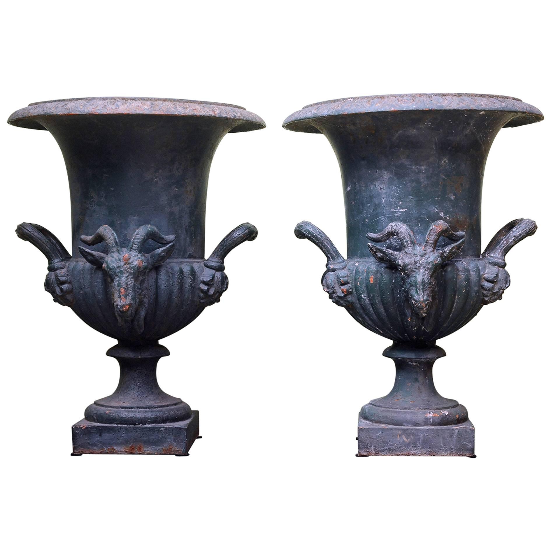 19th Century Rare Pair of Cast Iron Campana Urn Head of Ram and Handles For Sale
