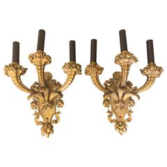 French Gilt Bronze Cornicopia Form Massive Wall Sconces, 19th Century