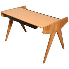 Vintage Organic Writing Desk Designed by Helmut Magg, Germany