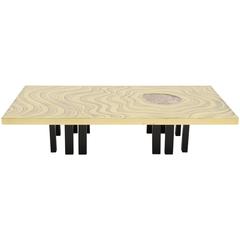 Amazing Large Etched Brass Coffee Table by Willy Daro 1