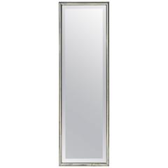 Tall French Silver Gilt Beveled Mirror (H 57 1/2 x W 18 1/2)