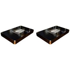Pair of Alveo Coffee Tables by Willy Rizzo