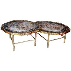 Pair of Petrified Wood Low Tables