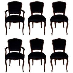 Six Dining Room Chairs with Navy Velvet and Damask Fabric