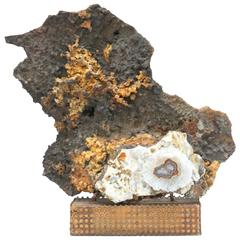 Mounted Prehistoric Fossil Rock Coral with Stalactite and Fossil Ammonite