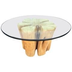 Cypress Wood Tree Trunk Coffee Table 12