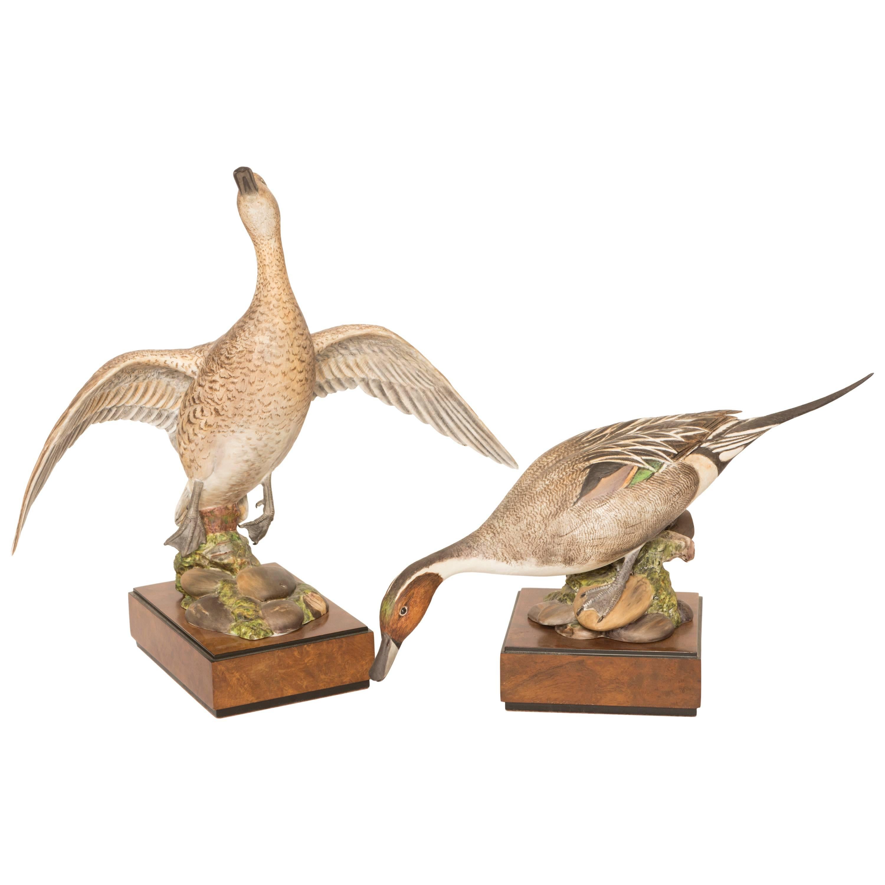 Pair of Royal Worcester Game Bird Series of the American Pintail For Sale