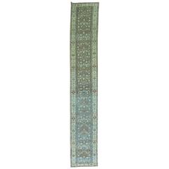 Persian Malayer Long Runner 2