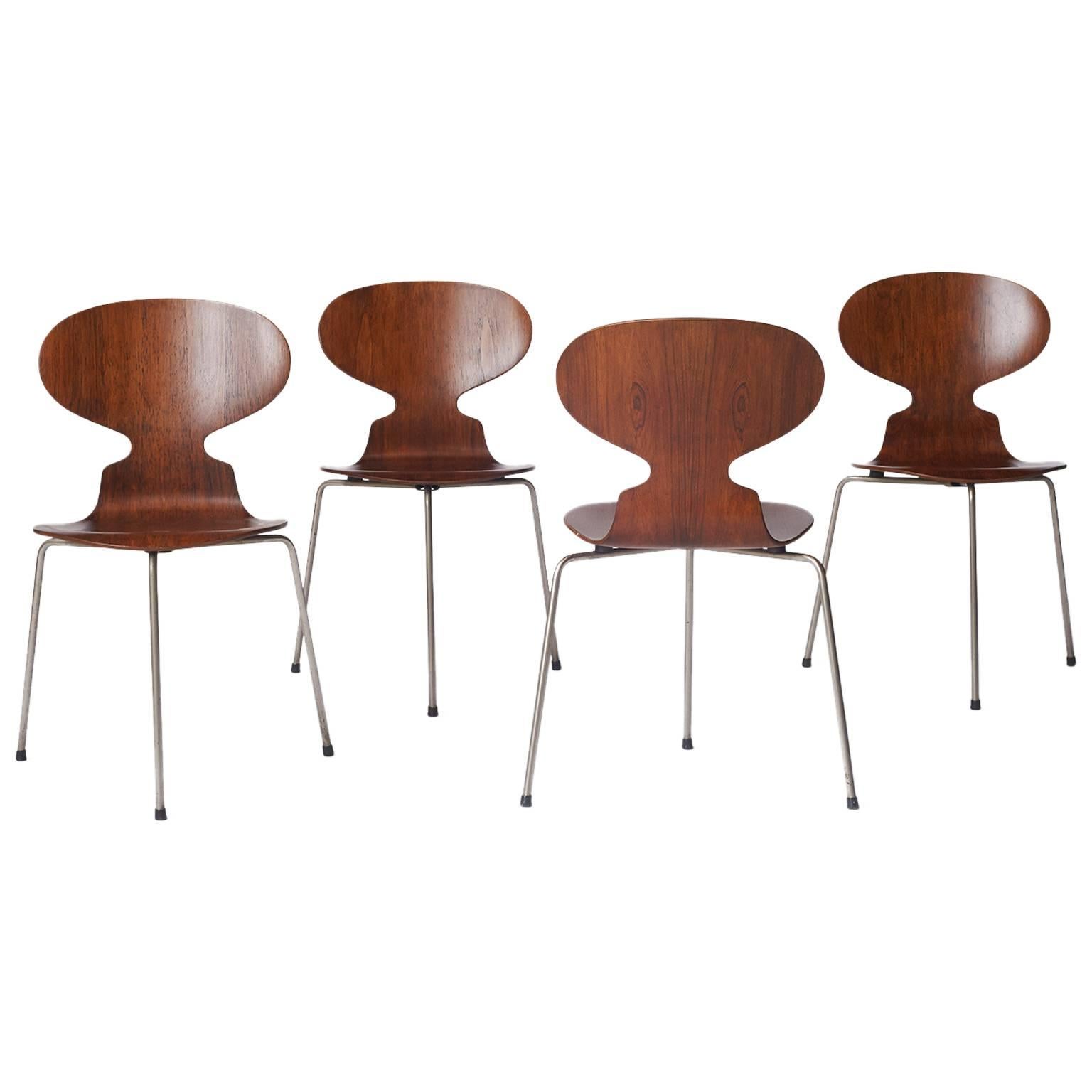 Ant Chairs #3100 by Arne Jacobsen at 1stDibs | arne jacobsen ant chair ...