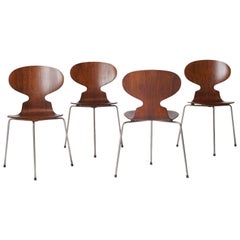 Ant Chairs #3100 by Arne Jacobsen