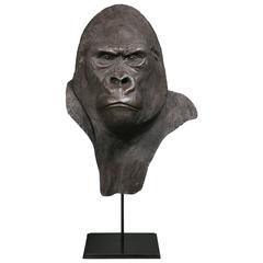 Resin Gorilla Head, Yves Gaumétou, France, 2015