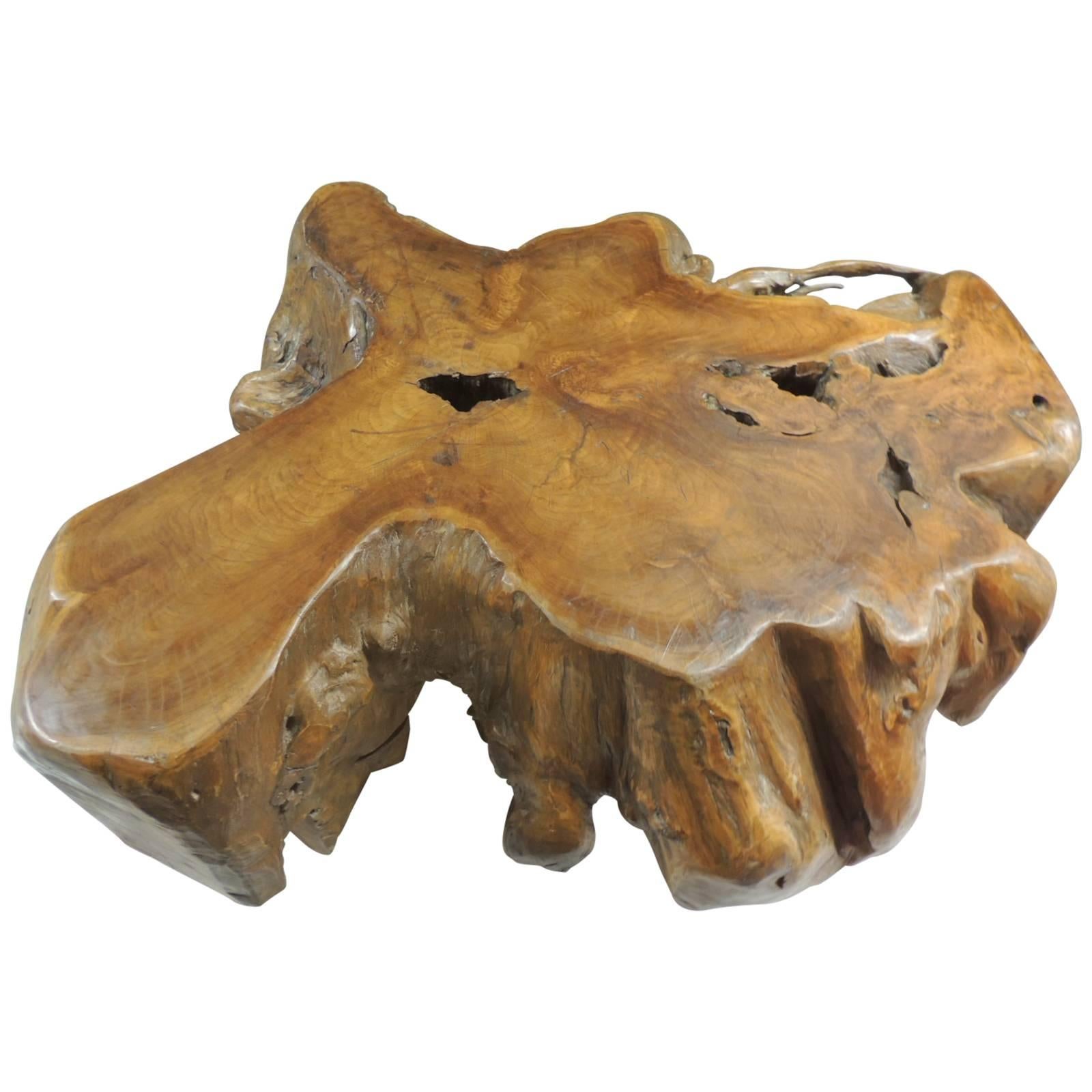 Monumental Teak Root Trunk Coffee Table