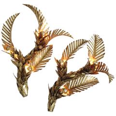 Pair Exclusive Palm Tree Wall Lamps by Maison Jansen, Anno 1970