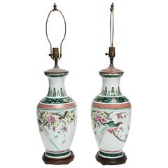 Vintage Chinese Lamps Painted with Parrots