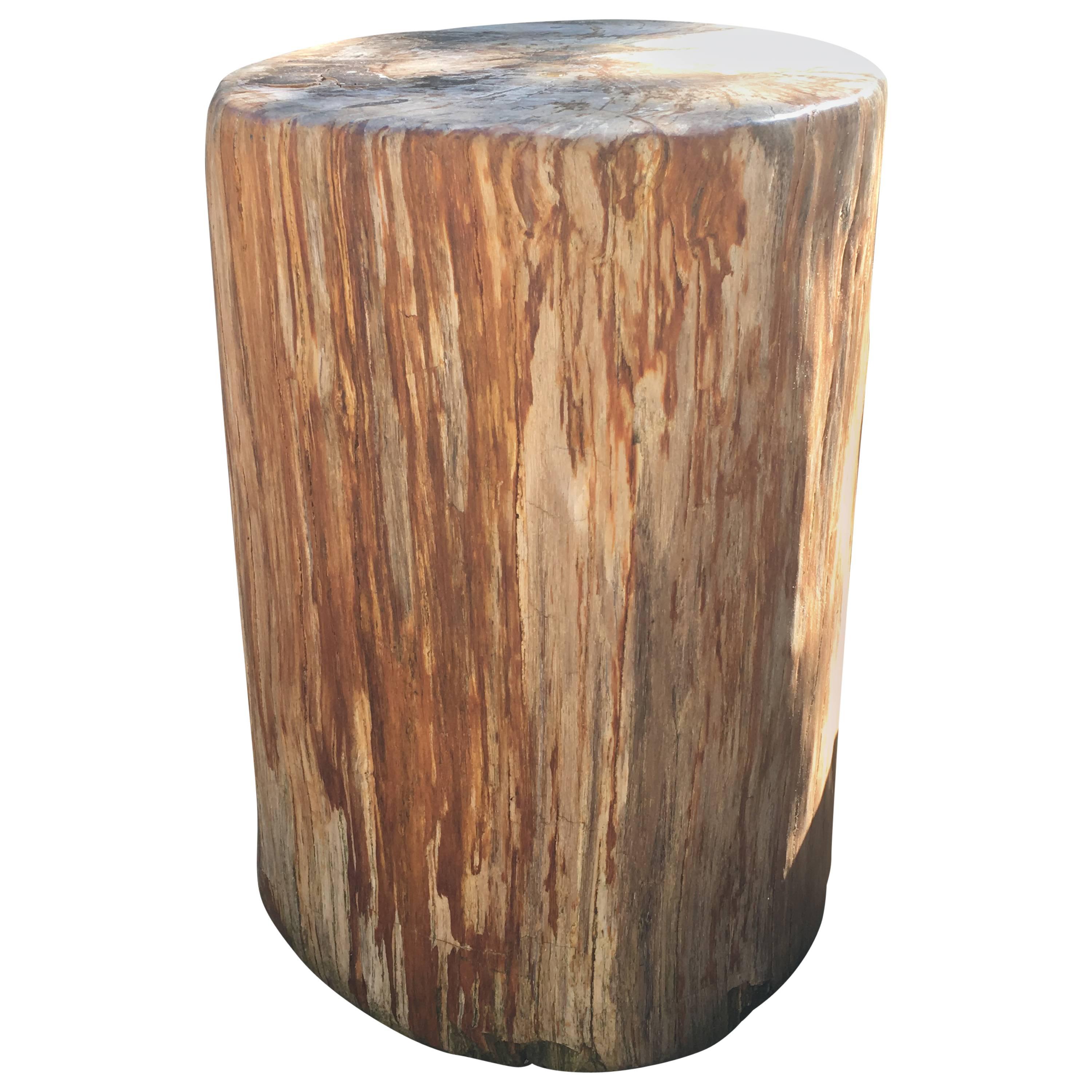 Large Red Petrified Wood Side Table