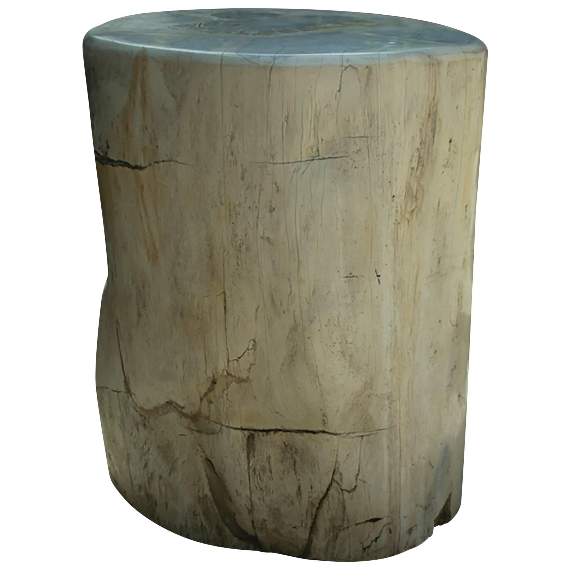 Large White Petrified Wood Side Table