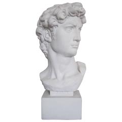 Vintage Classic Roman Style Bust of the David