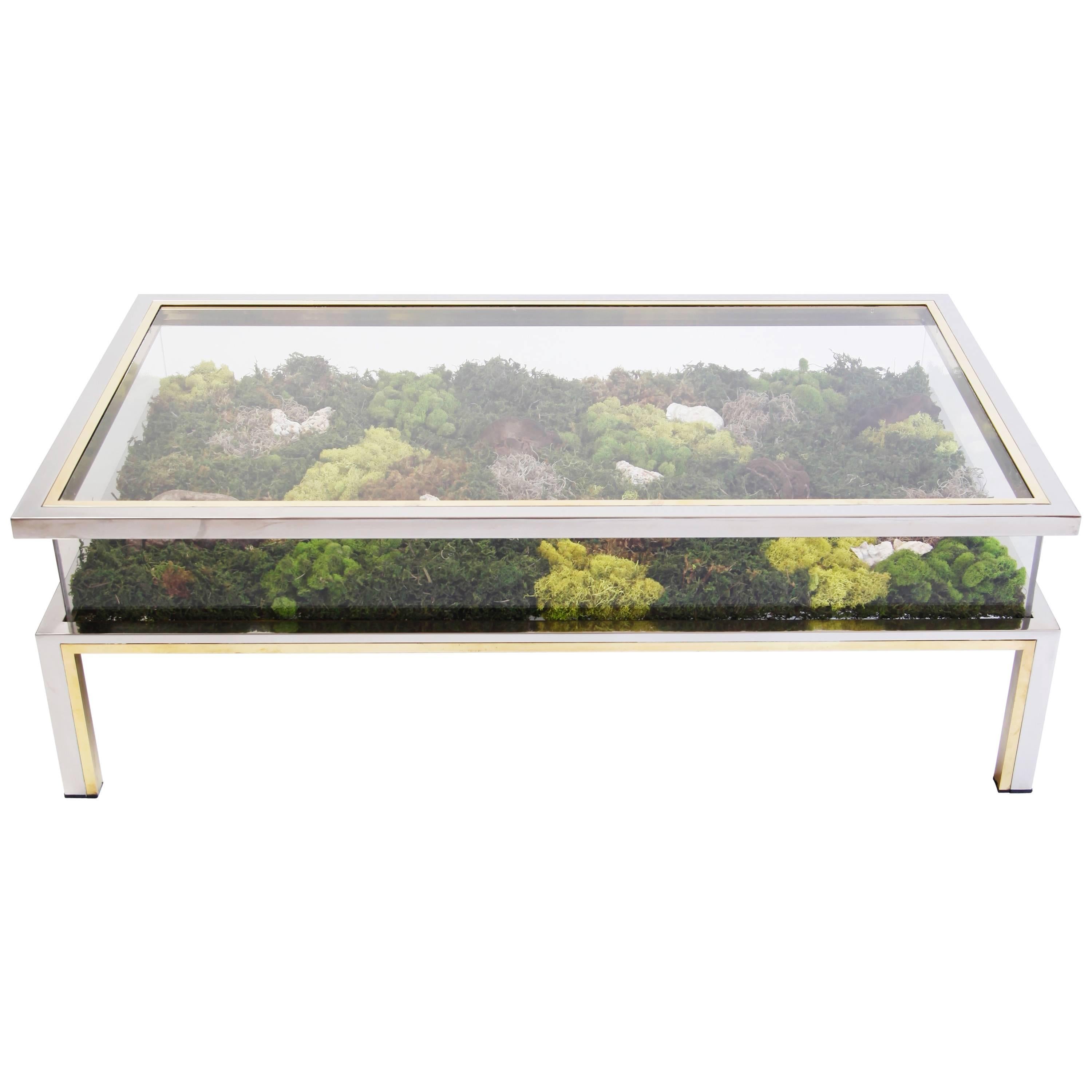 A Classic 1970s Italian coffee table of generous dimensions, with glass top and bottom, and acrylic sides, framed in chrome and brass. Photographed here with an installation of preserved mosses and tree fungi by Lawton Mull. Also a lovely display