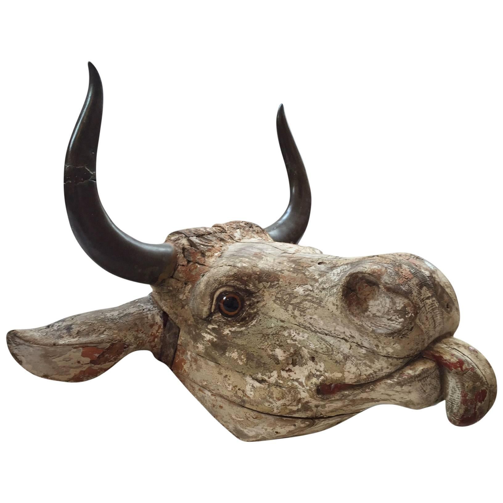 Head of a Bull with Bronzed Horns