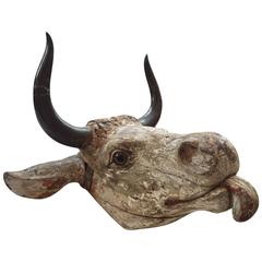 Antique Head of a Bull with Bronzed Horns