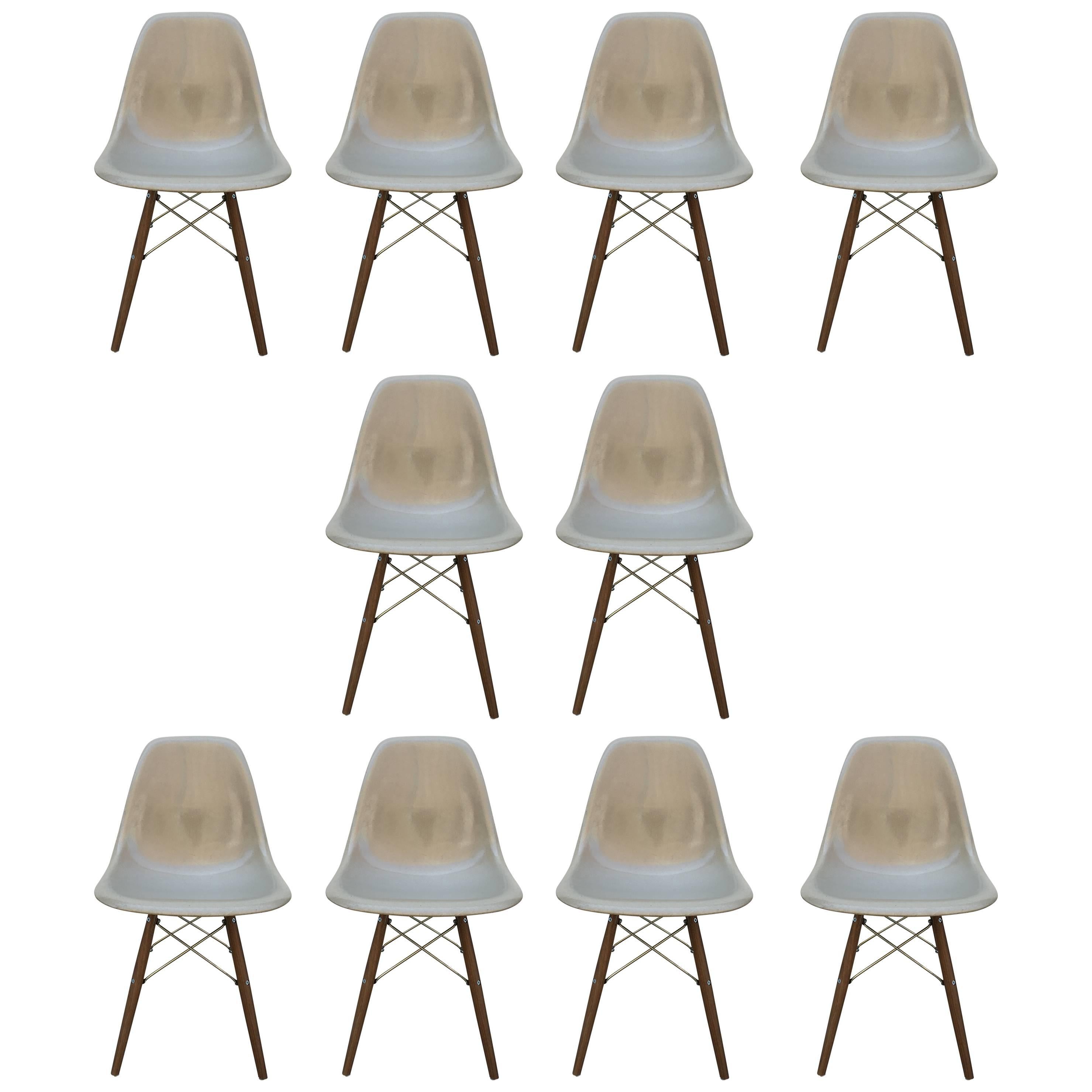 Ten Herman Miller Eames Greige Dining Chairs