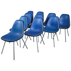 Ten Original Black and Cobalt Blue Eames Shell Chairs for Herman Miller, Signed