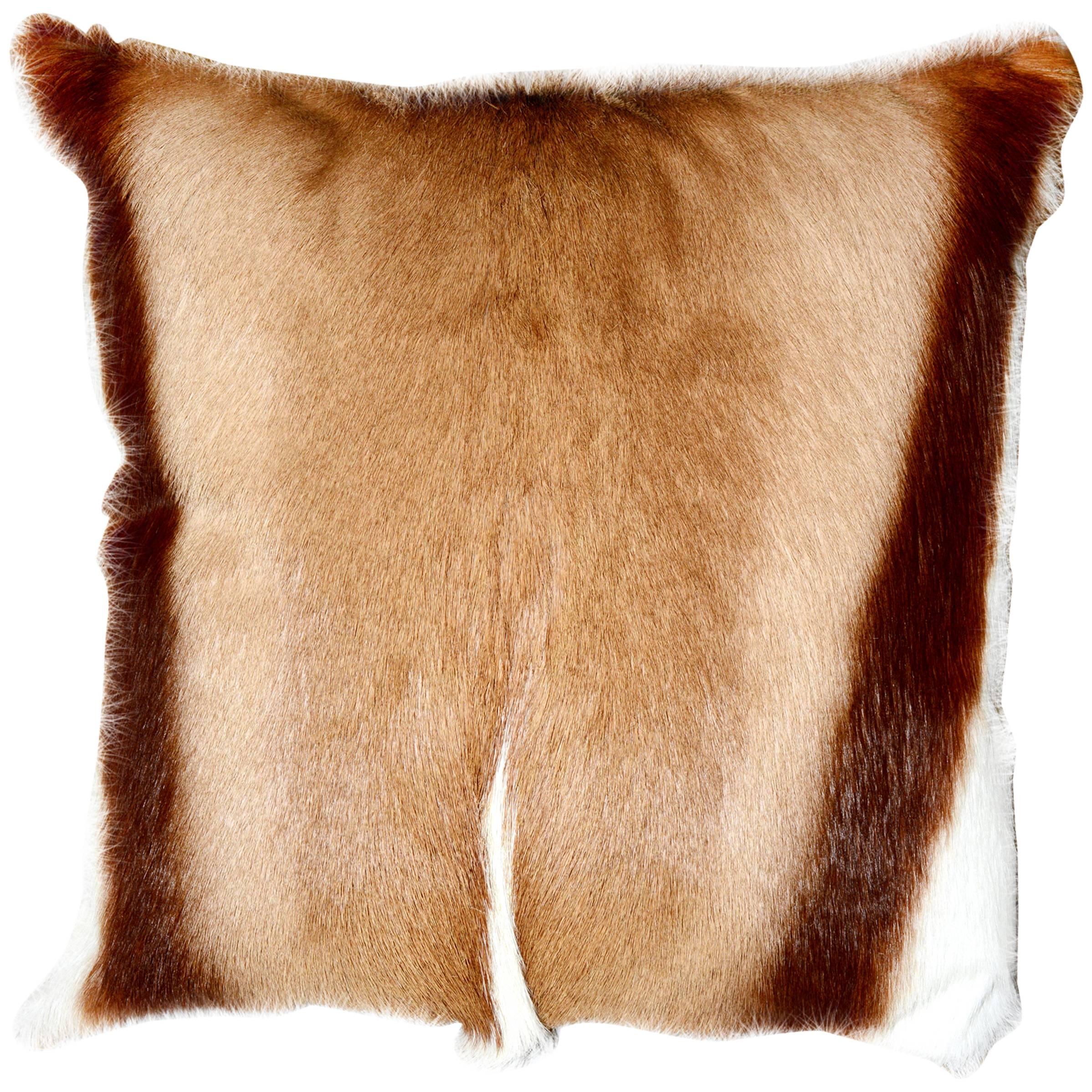 Springbok Cushion, Real Fur