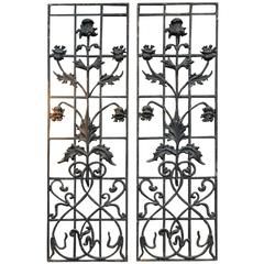 Pair of French Art Nouveau Cast Iron Entrance Door Gates, 1900