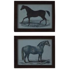 Pair of Original Antique Horse Prints, English, circa 1850