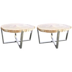 Pair of Petrified Wood Tables with Chrome-Plated Steel Base