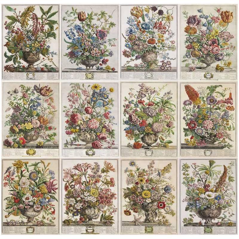 12 Months of Flowers Set of 12 Colored Engravings by R Furber For Sale