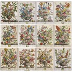 12 Months of Flowers Set of 12 Colored Engravings by R Furber