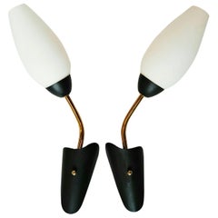 Pair of Italian, 1950s, Sconces