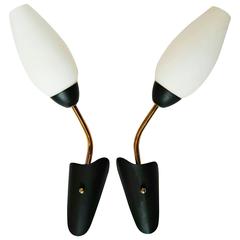 Pair of Italian, 1950s, Sconces 9