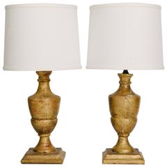 19th Century Giltwood Fragment Lamps