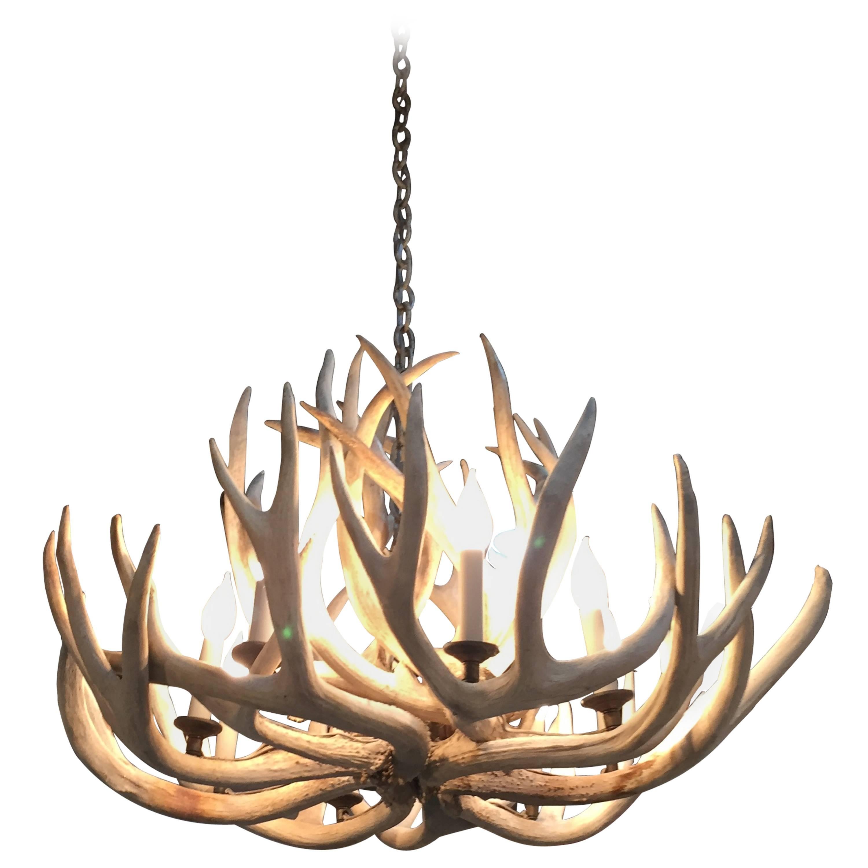 Very Impressive Authentic Antique Bleached Antler Chandelier For Sale