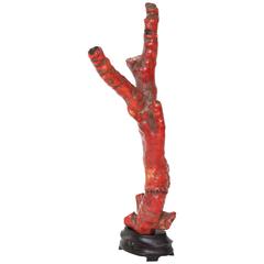 19th Century Red Coral Specimen Mounted on a Chinese Carved Wood Base
