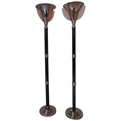 Vintage Pair of "Petitot" Chrome and Black Wood Floor Lamps with Salmon Rose Glass Wings