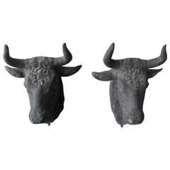 Antique Pair of Provencal Zinc Bull Heads for the Wall