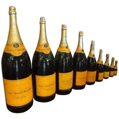 Collection de neuf bouteilles de champagne